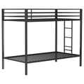 Alevera Bunk Bed