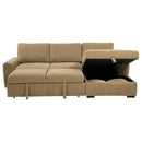 Pastrana Pull-Out Sleeper Sectional Sofa