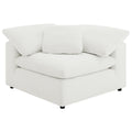 Raleigh Modular Sectionals