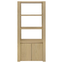 Laurelton Media Tower