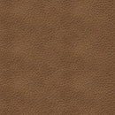 Bolsena Sofa Sleeper - 5th Ave Furniture