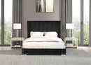 Cadwell E.King, Queen, & Full Bed White, Gray, & Black - 5th Ave Furniture