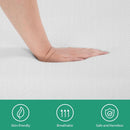 Forsythia 12" Queen Green Tea Gel Memory Foam