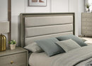 Rainier Queen Bedroom Set - 5th Ave Furniture