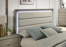 Rainier Queen Bedroom Set - 5th Ave Furniture