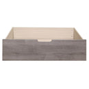 Woodrow Twin/Full Toy Box (1 Set) in Gray 2042NB-TFT