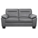Denizen Loveseat in Dark Gray 9537DGY-2