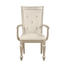 Celandine Arm Chair in Silver (Set of 2)