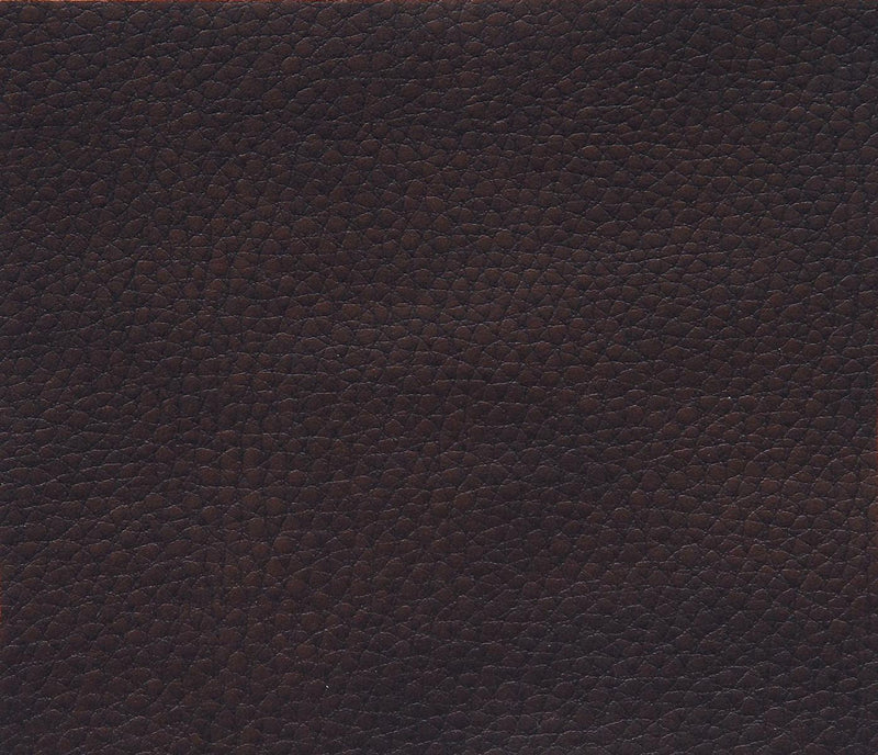 Aram Double Glider Reclining Loveseat in Brown 8206BRW-2