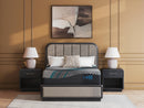 Millennium 2.0 Hybrid 16 Inch Mattress - 5th Ave Furniture