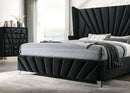 Carissa Queen Bedroom Set - 5th Ave Furniture