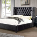 Cayla Cal.King, E.King, & Queen Bed Silver & Grey - 5th Ave Furniture
