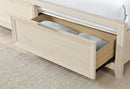 MARIAH BEIGE QUEEN BED GROUP - 5th Ave Furniture