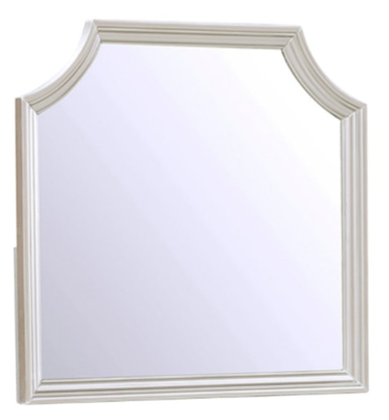 Homelegance Libretto Mirror in Silver 1755-6 image